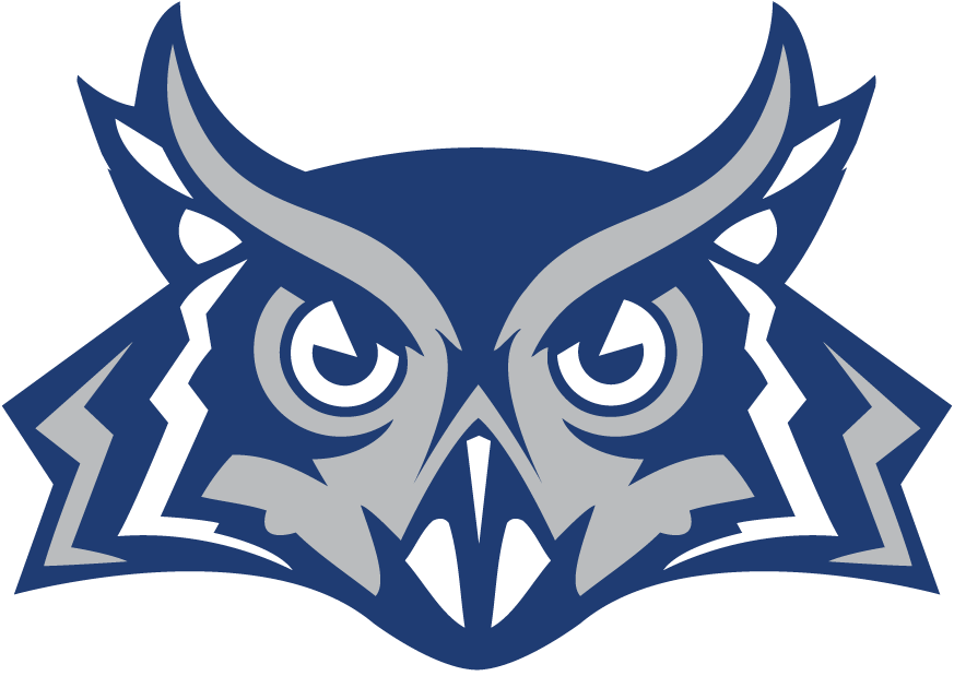 Rice Owls 2010-2016 Alternate Logo iron on paper